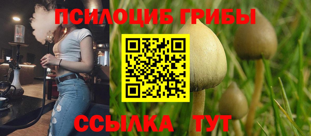 Галлюциногенные грибы GOLDEN TEACHER Ставрополь