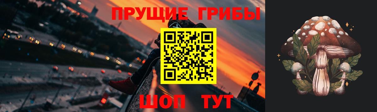 Галлюциногенные грибы ЛСД  Вход с VPN  Псилоцибиновые грибы прущие грибы  купить закладку  Ставрополь 